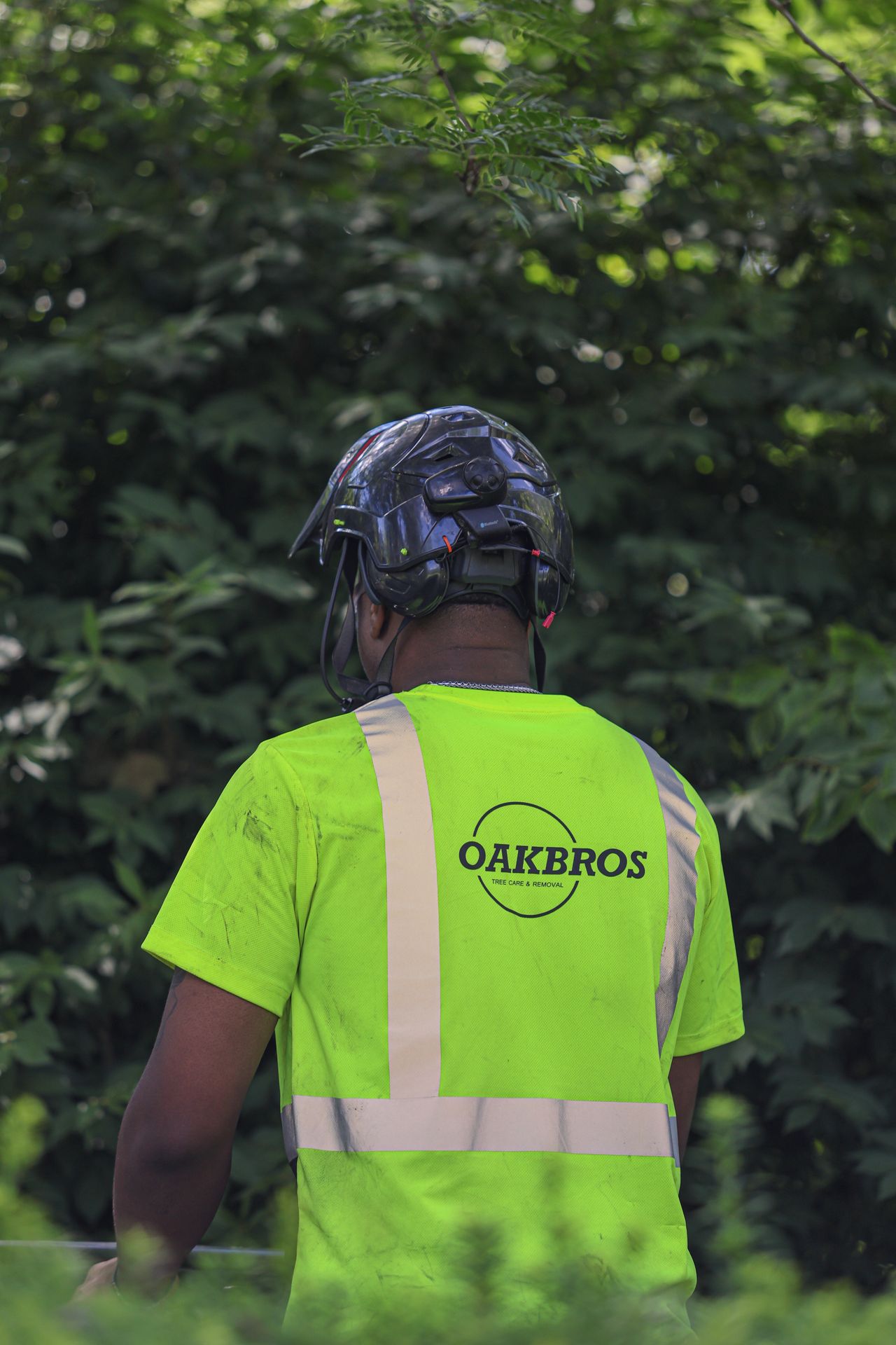 Tree crew member on a job