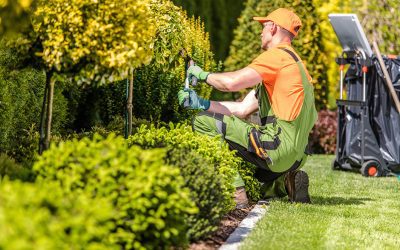 Talent Acquisition in Landscaping Hiring