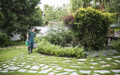 Navigating Disruptive Innovation in the Landscaping Industry