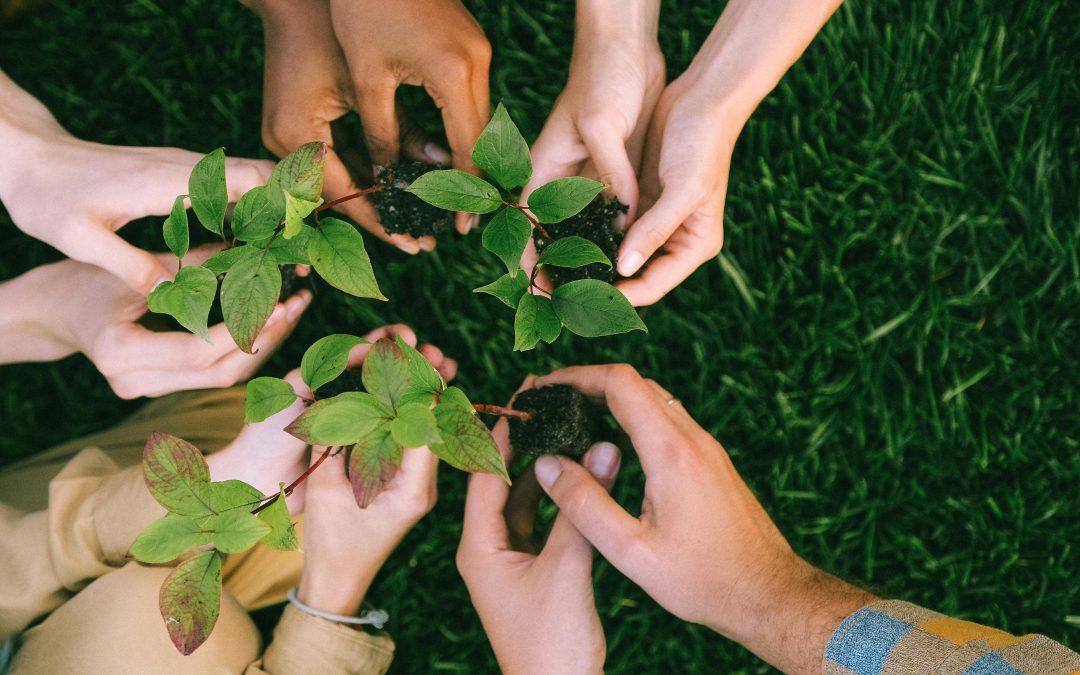 Group of hands holding plants as part of community engagement