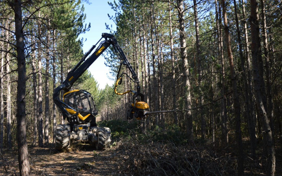 Piece of forestry equipment chopping down tree in right of way