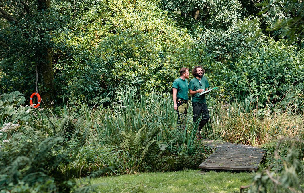 Two men looking at plants in lush garden and discussing with clipboard